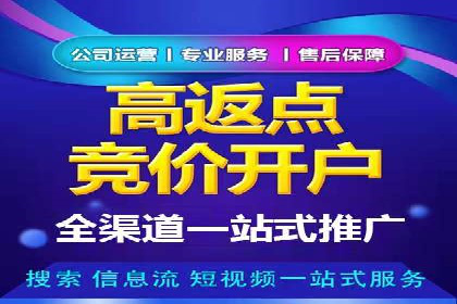 SEM推广公司案例：打造行业领军品牌